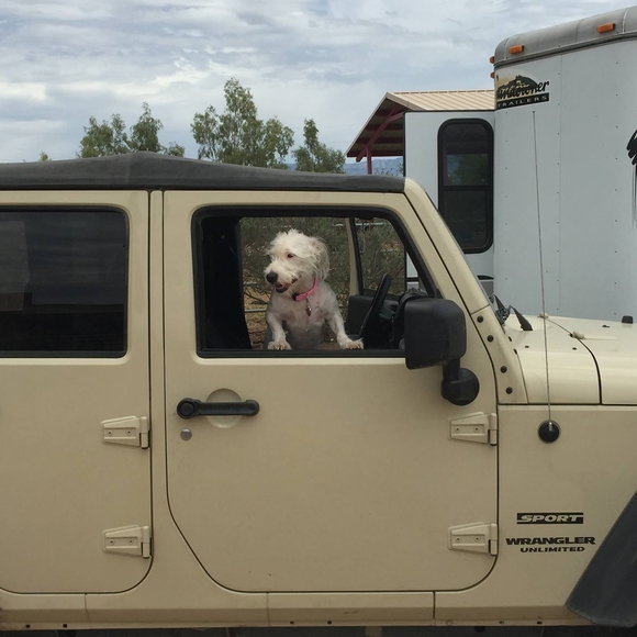 Meet your Posher, Daniel - Picture 1 of 1